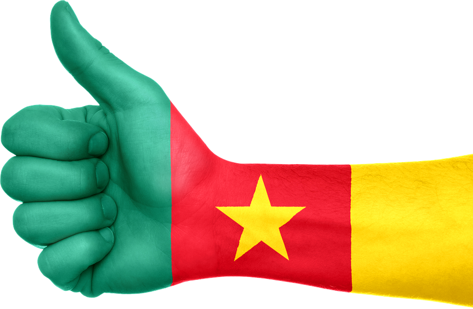 Cameroon Country Flag Transparent Free PNG