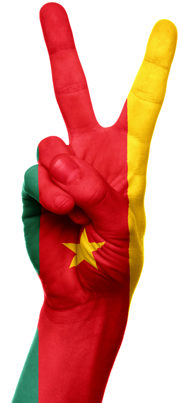 Cameroon Flag Transparent PNG