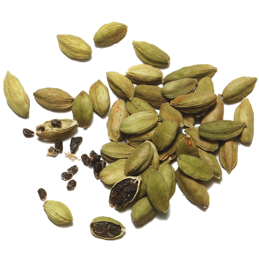 Cardamom Download Free PNG