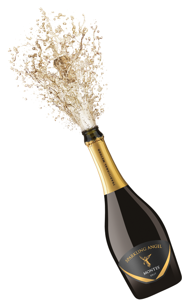Champagne PNG Clipart Background