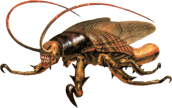 Cockroach Free PNG
