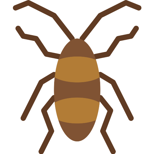 Cockroach Icon Background PNG Image