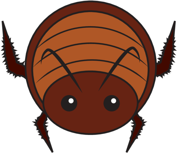 Cockroach Icon PNG Clipart Background