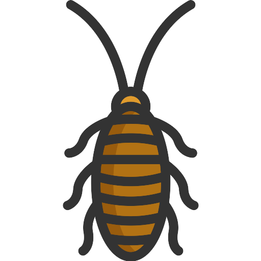 Cockroach Insect Transparent PNG
