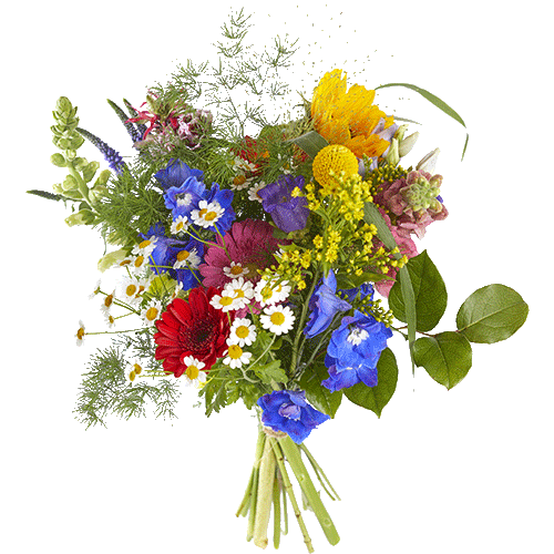 Congratulation Flower PNG HD Quality