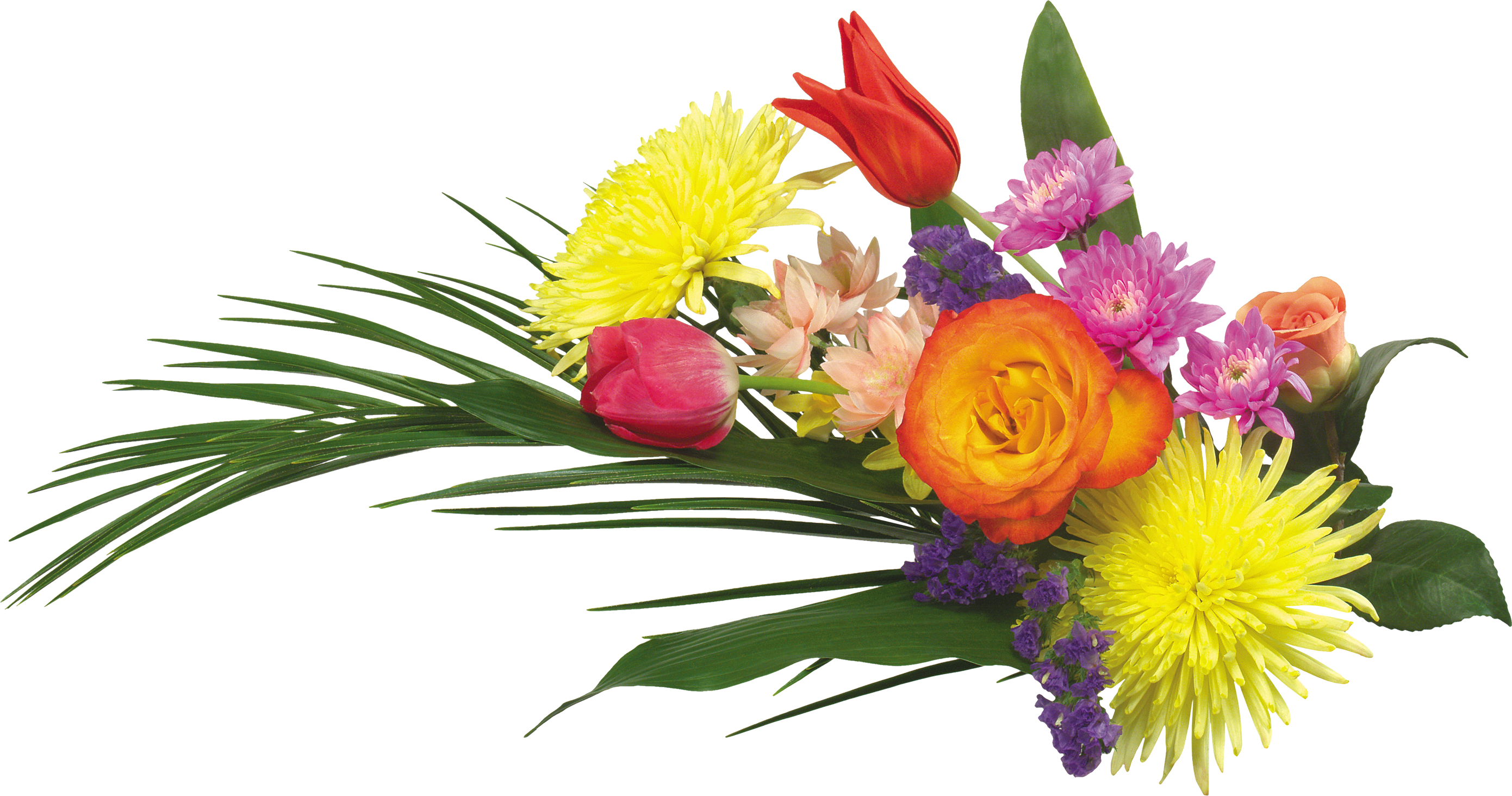 Congratulation Flower Transparent PNG