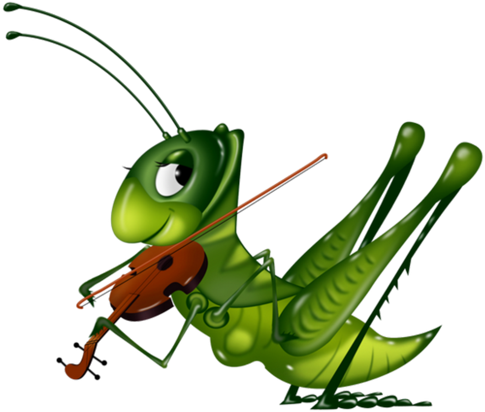 Cricket Insect Cartoon PNG HD Quality | PNG Play