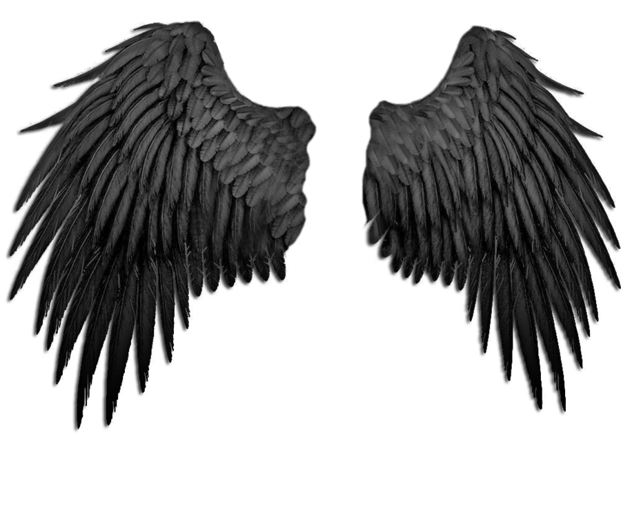 Dark Angel Wings Transparent Image