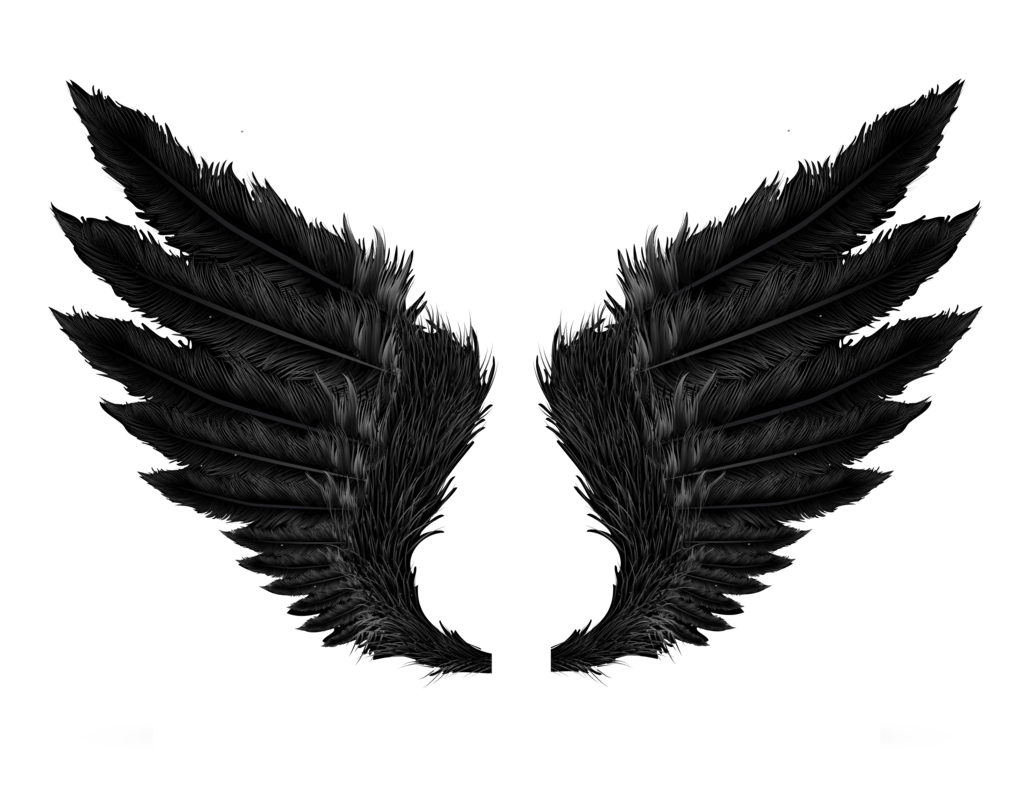 Dark Angel Wings Transparent PNG
