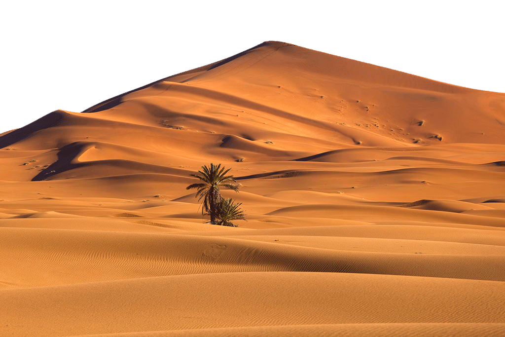 Desert Sand Transparent Free PNG