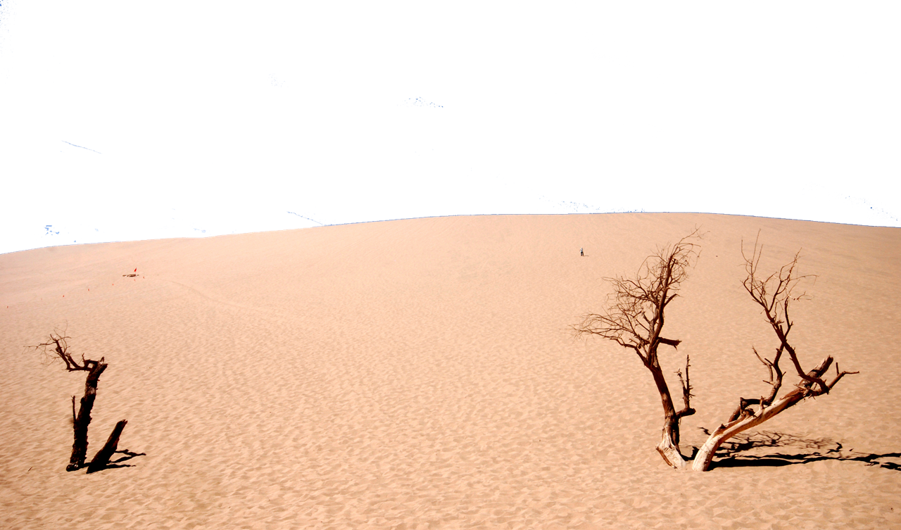 Desert Transparent Background