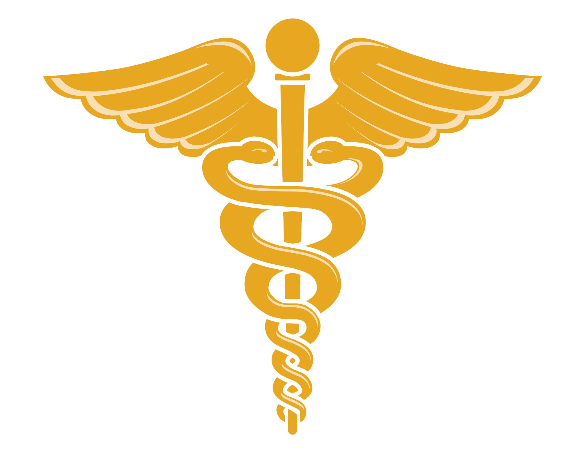Doctor Symbol Caduceus Transparent Background