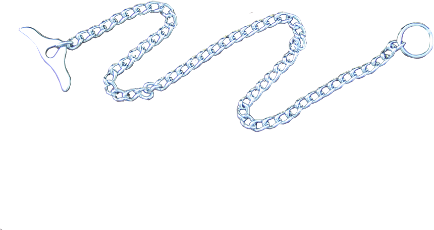 Dog Chain Background PNG Image