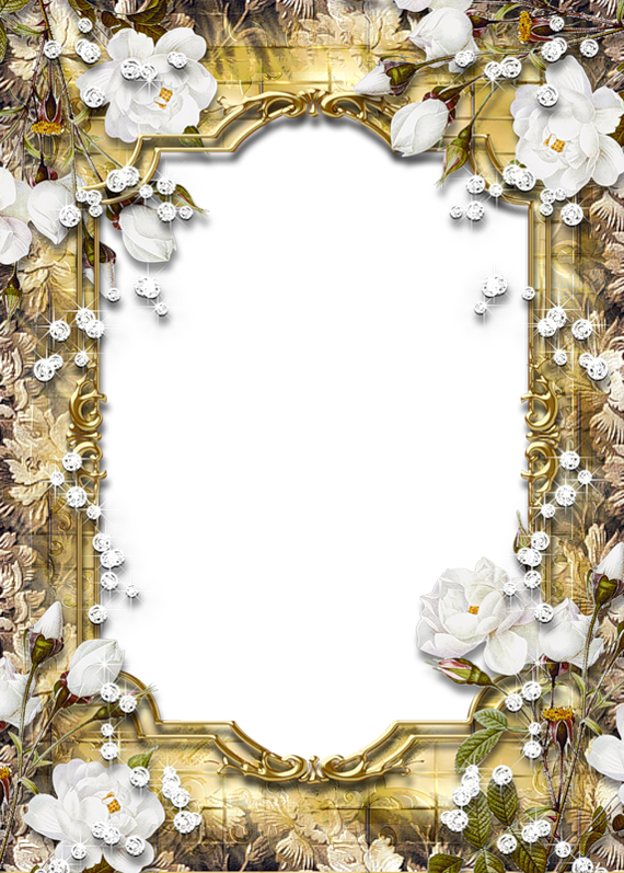 Fancy Birthday Collage Frame PNG HD Quality