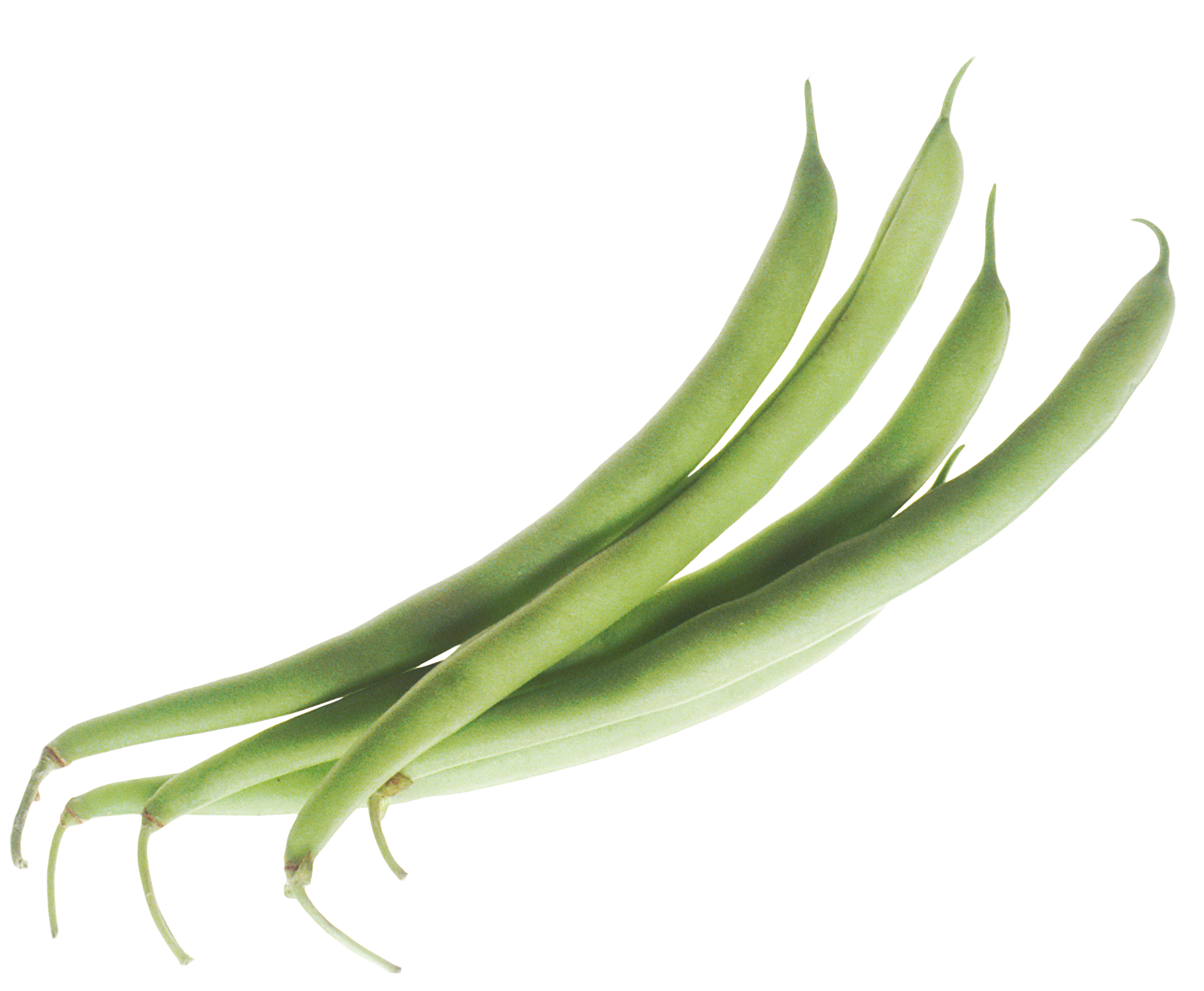 French Beans Background PNG Image