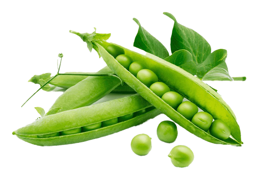 French Beans PNG HD Quality