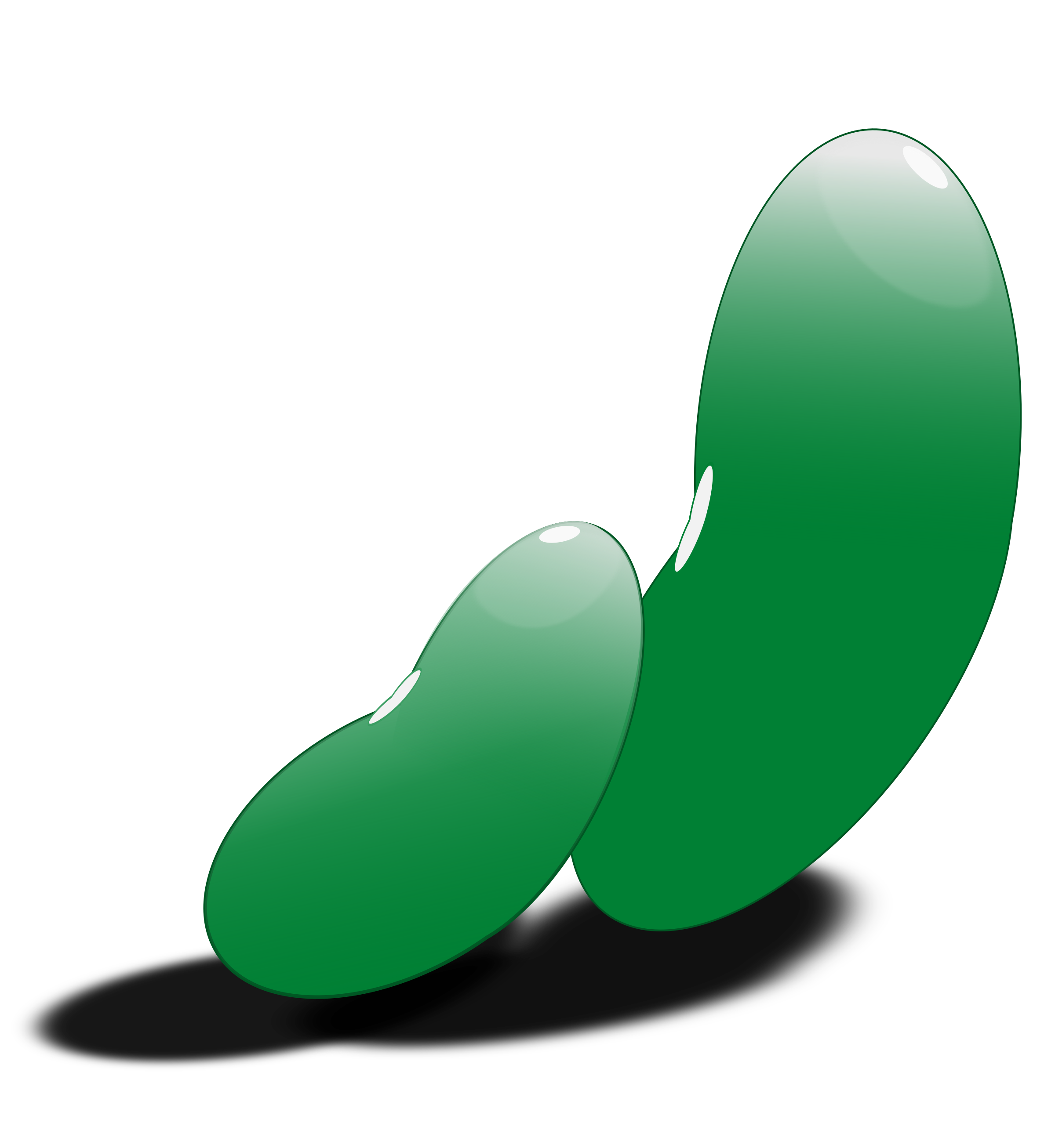 Green Beans Vector PNG HD Quality
