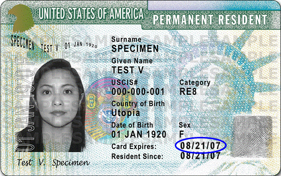 Green Card PNG Clipart Background