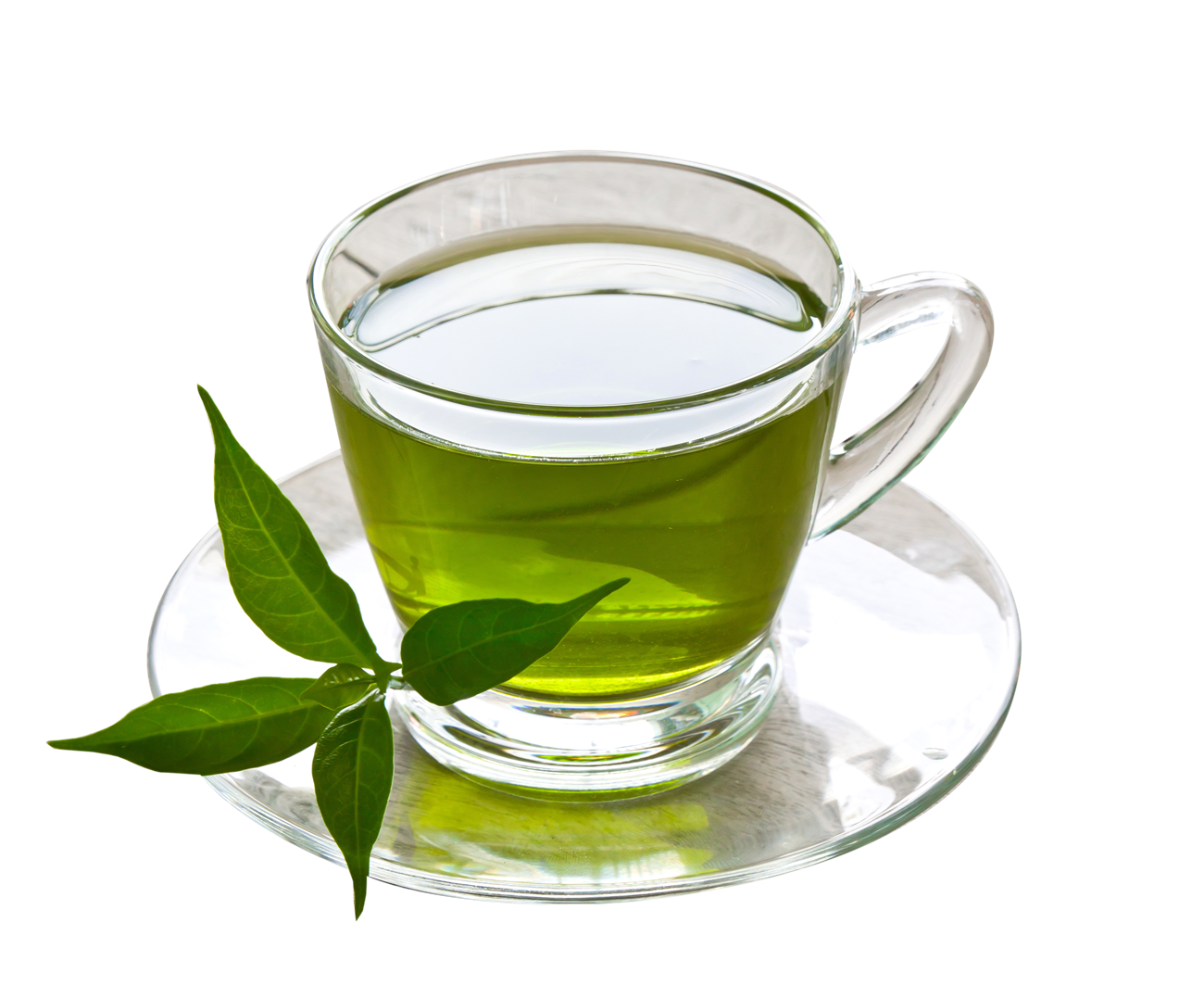 Green Tea Cup PNG HD Quality