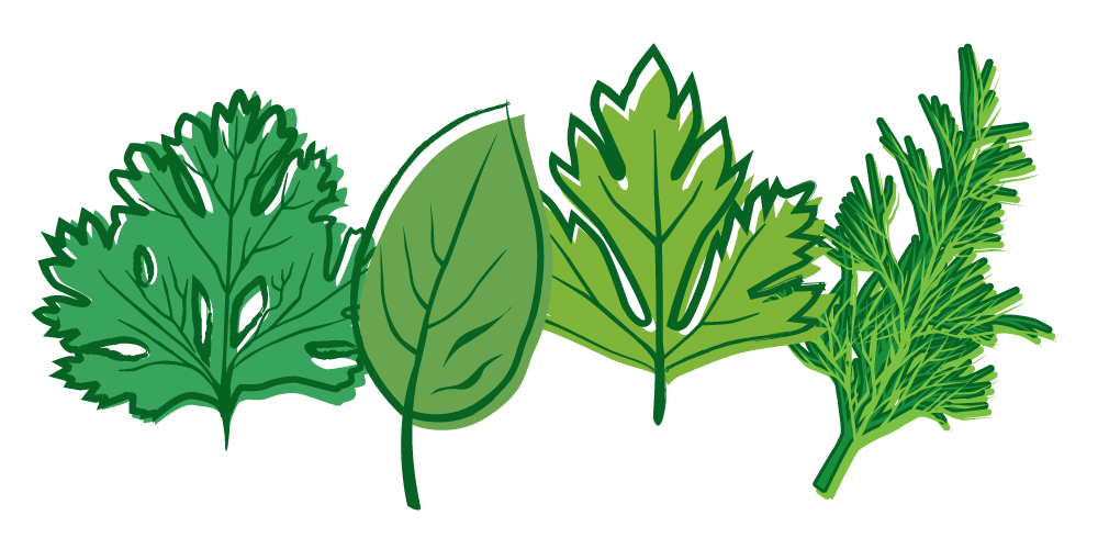 Herb PNG Background