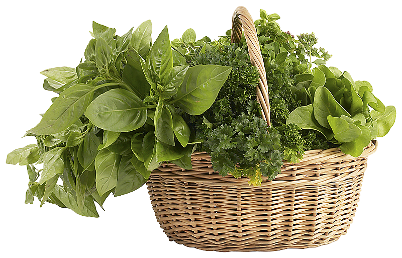 Herb PNG Photo Image