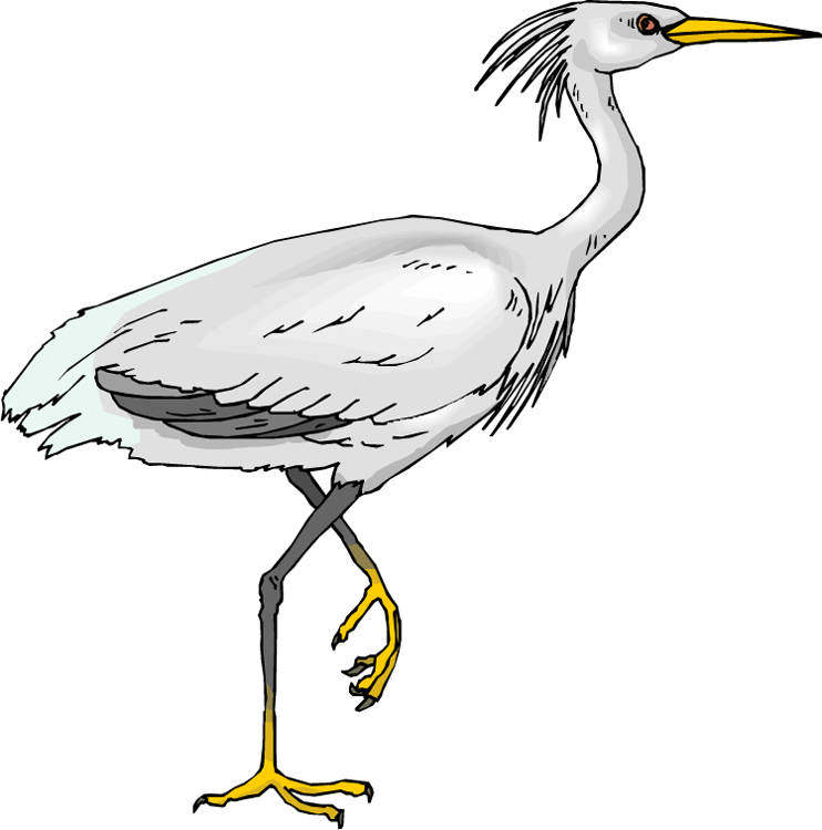 Heron Bird PNG Clipart Background