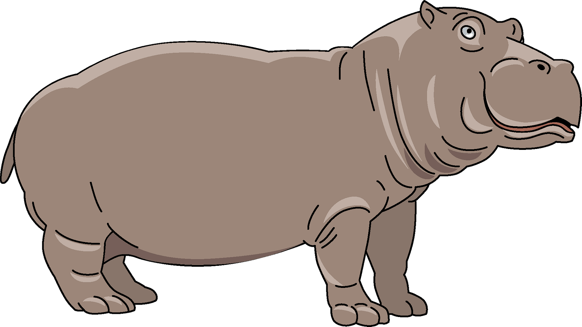 Hippopotamus Standing Background PNG Image