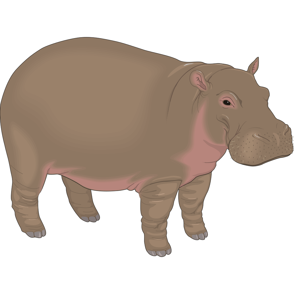 Hippopotamus Standing Download Free PNG