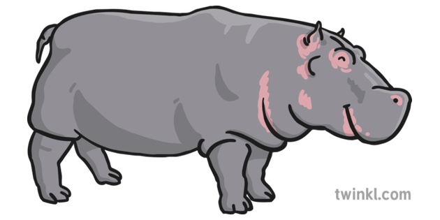 Hippopotamus Transparent Background