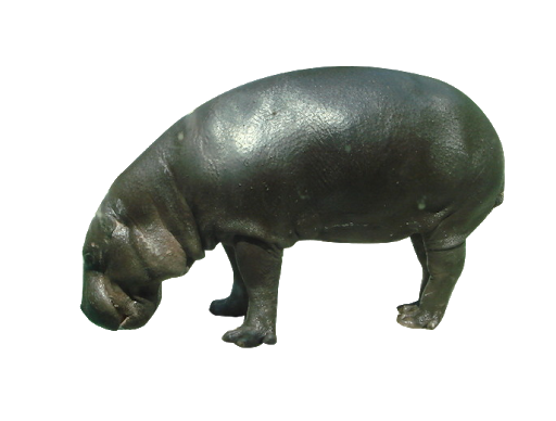 Hippopotamus Transparent PNG