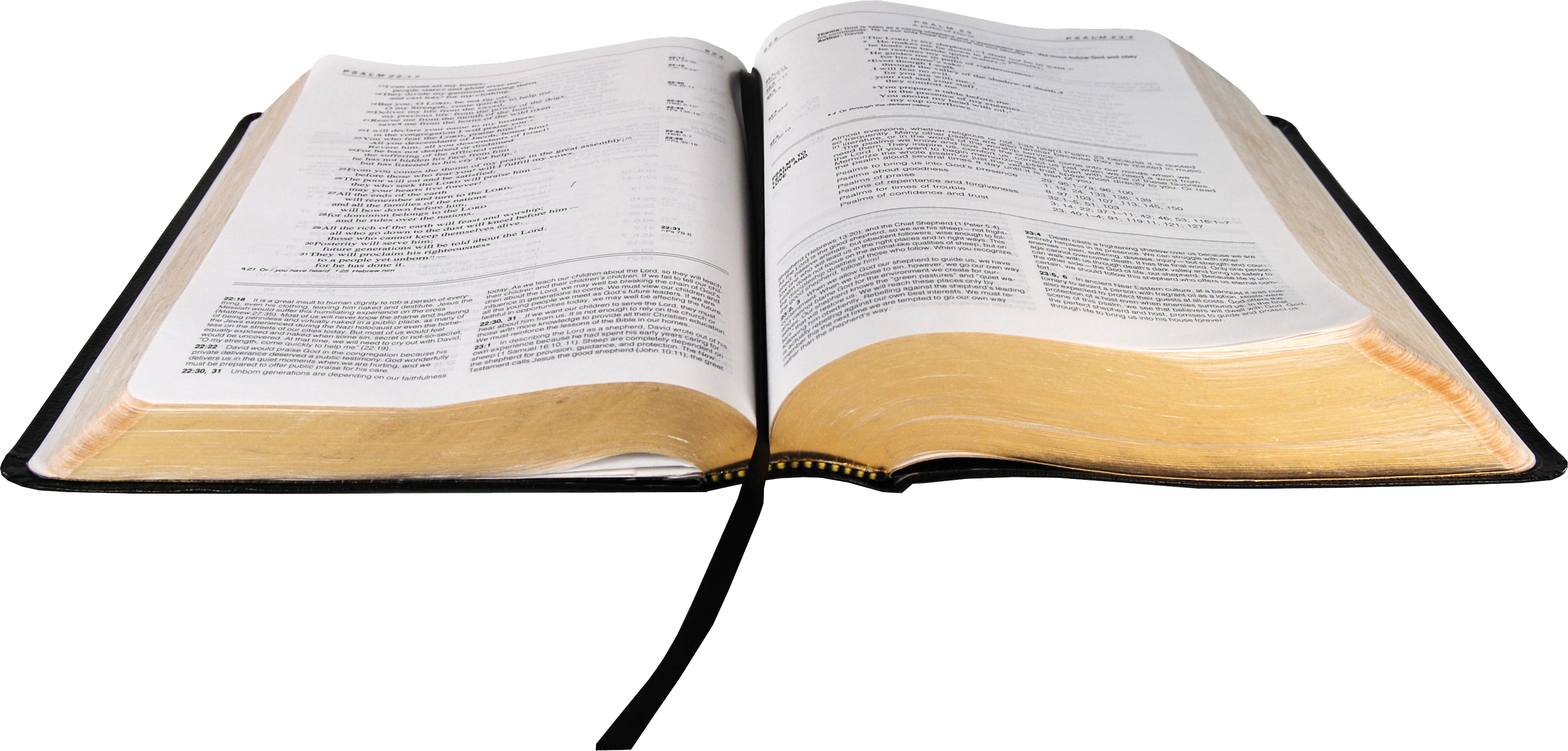 Holy Book Bible Download Free PNG