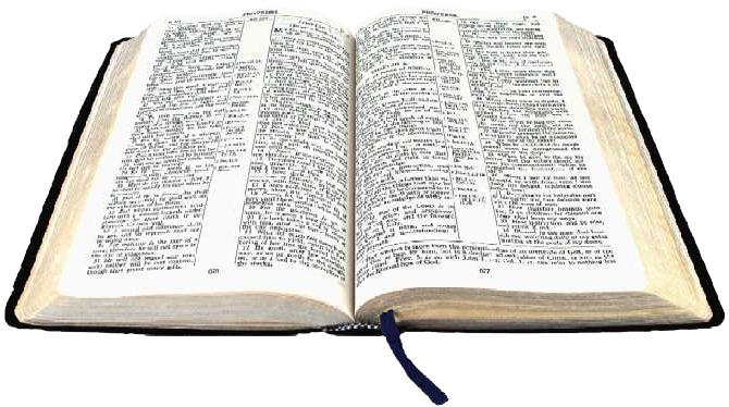 Holy Book Bible PNG Clipart Background
