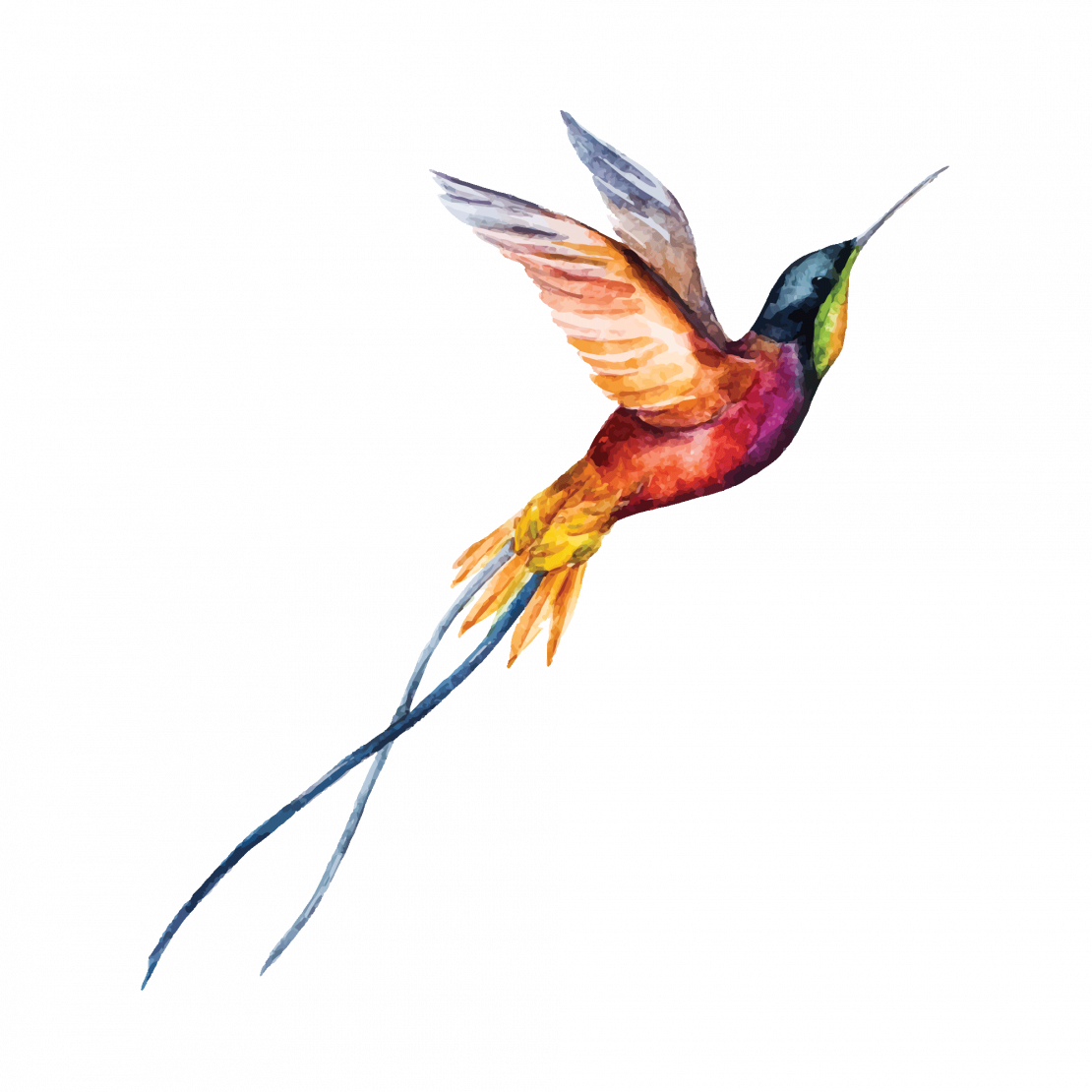 Hummingbird Flying Tattoos Transparent Background