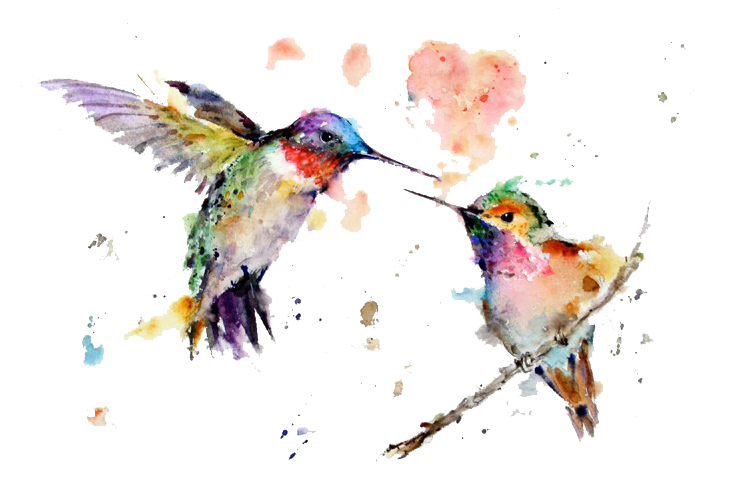 Hummingbird Flying Tattoos Transparent File