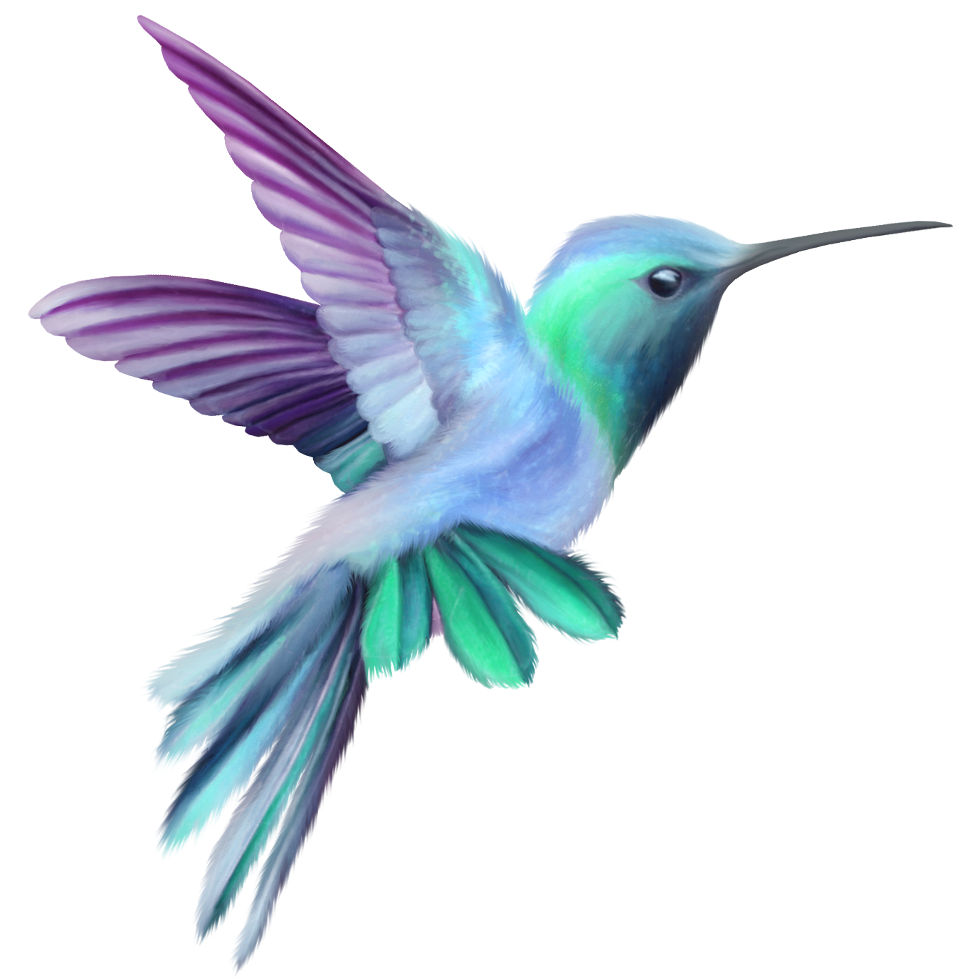 Hummingbird Flying Tattoos Transparent Free PNG