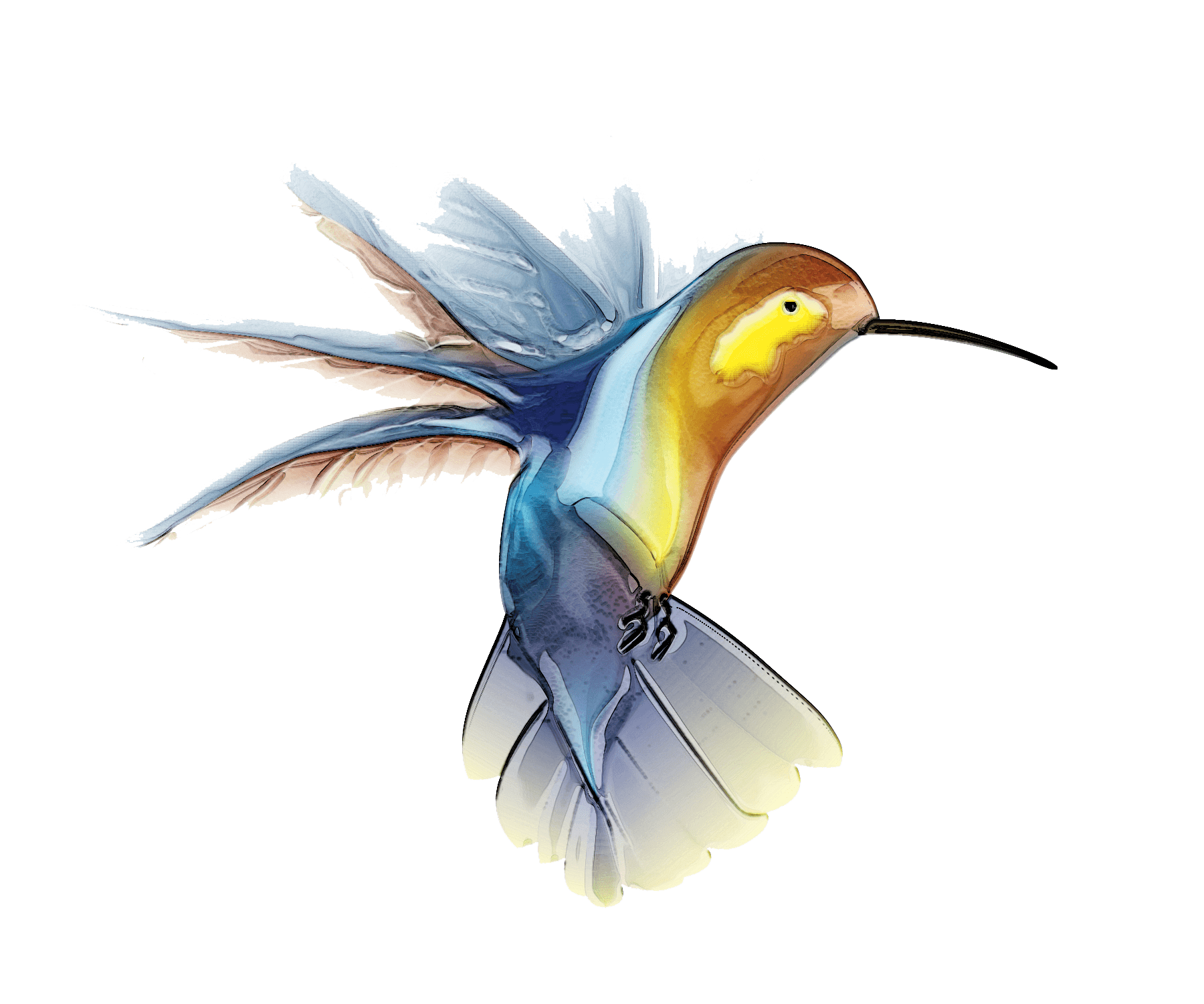 Hummingbird Flying Tattoos Transparent PNG