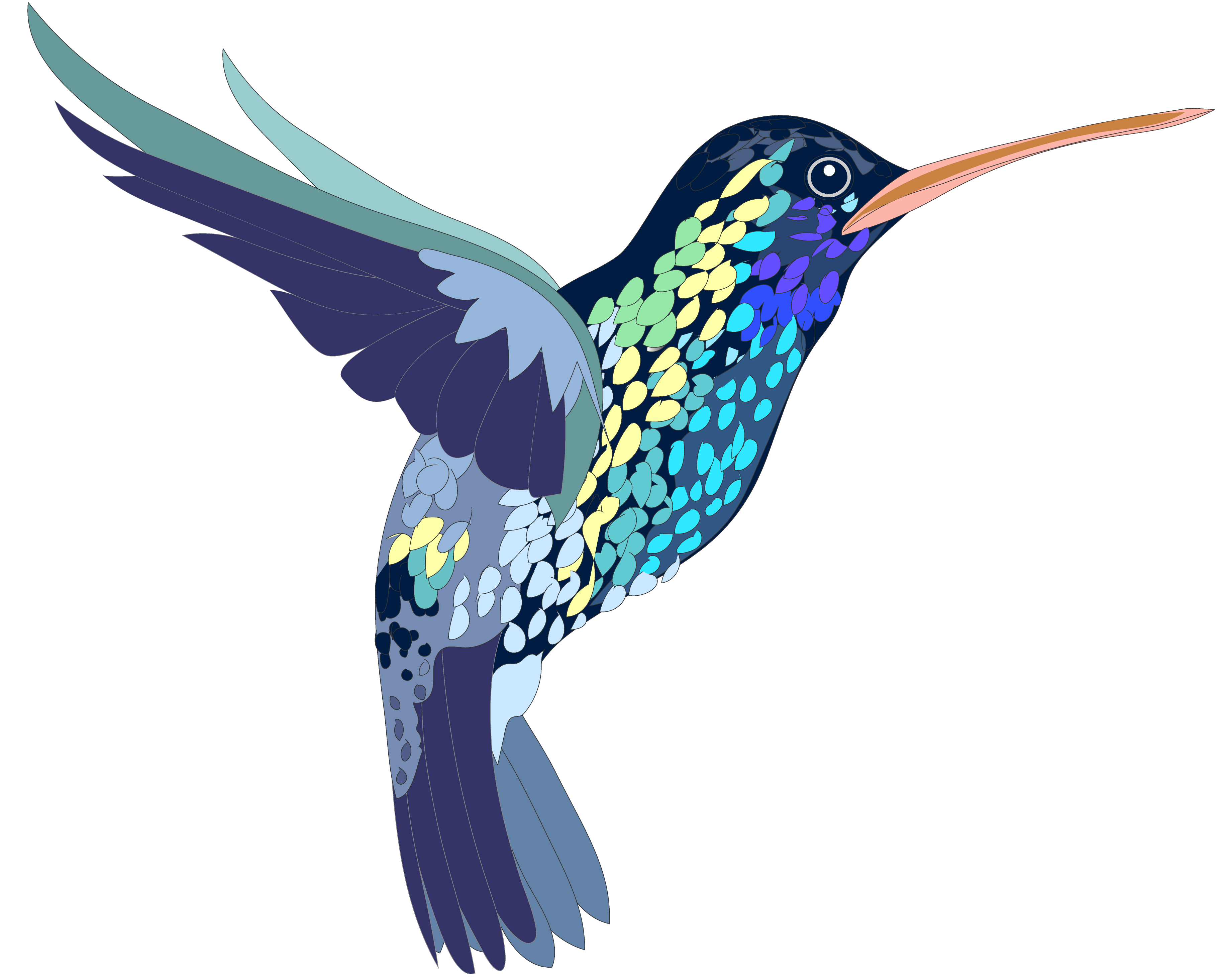 Hummingbird Tattoos Download Free PNG