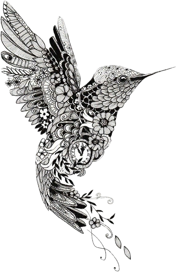 Hummingbird Tattoos PNG HD Quality