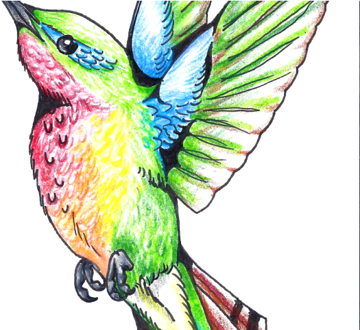 Hummingbird Tattoos Transparent Free PNG
