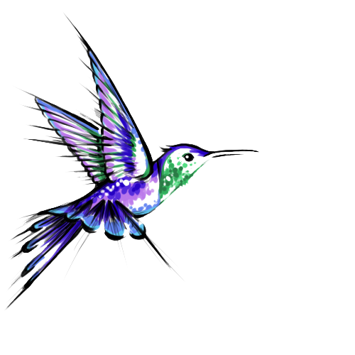 Hummingbird Tattoos Transparent Images
