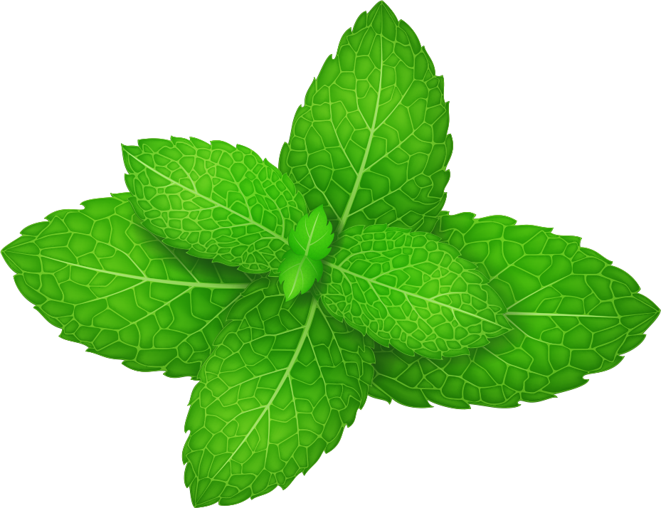 Mint Background PNG Image