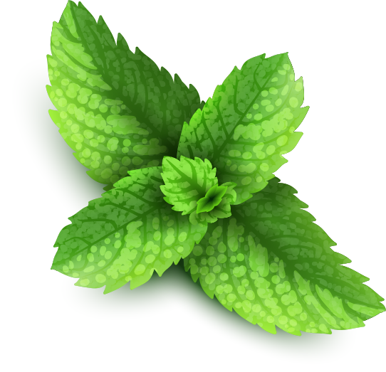 Mint Herb Background PNG Image
