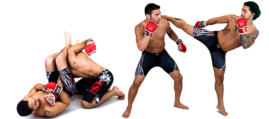 Mixed Martial Arts MMA Fight Background PNG Image