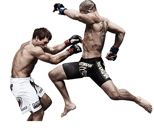 Mixed Martial Arts MMA Fight Transparent Background