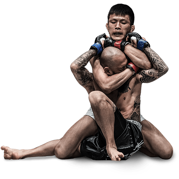 Mixed Martial Arts MMA Fight Transparent File