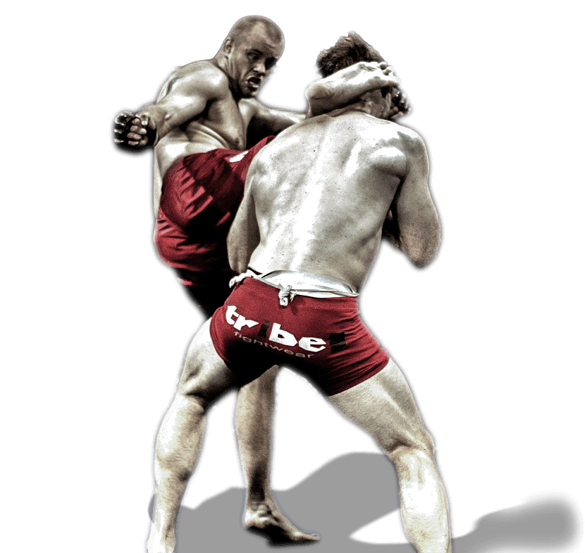 Mixed Martial Arts MMA Transparent Free PNG