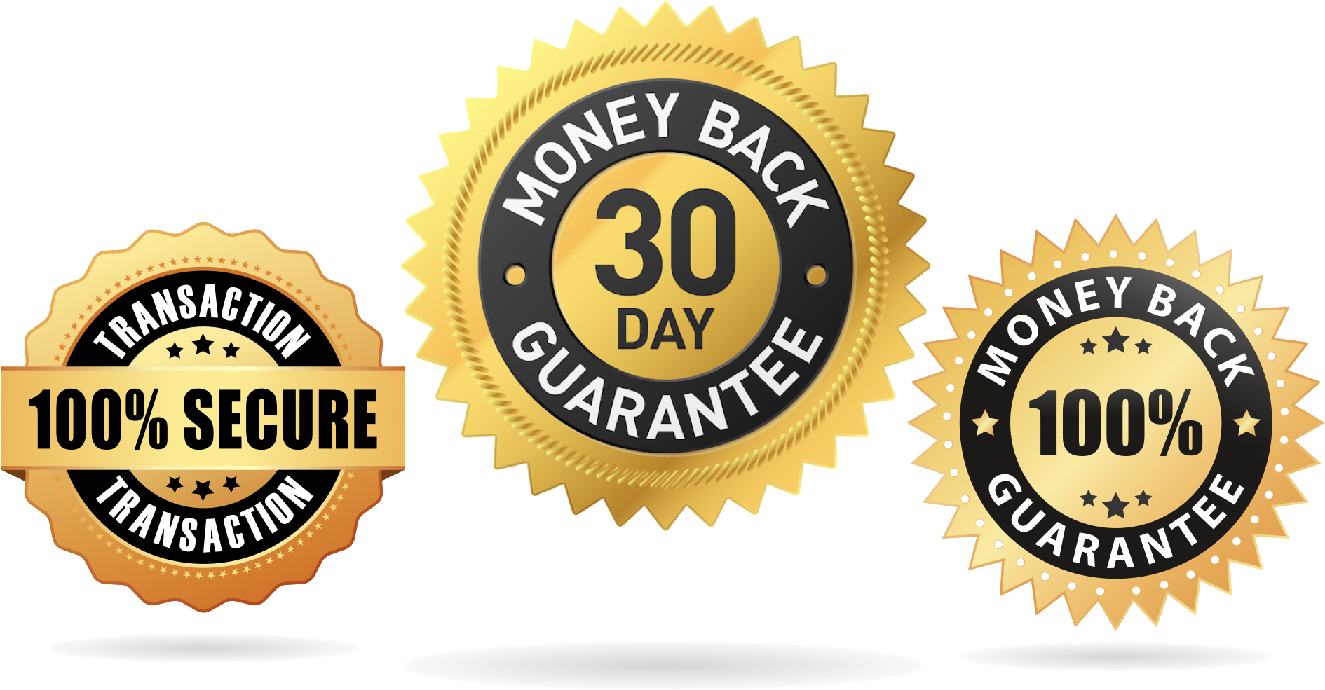 Moneyback PNG Clipart Background