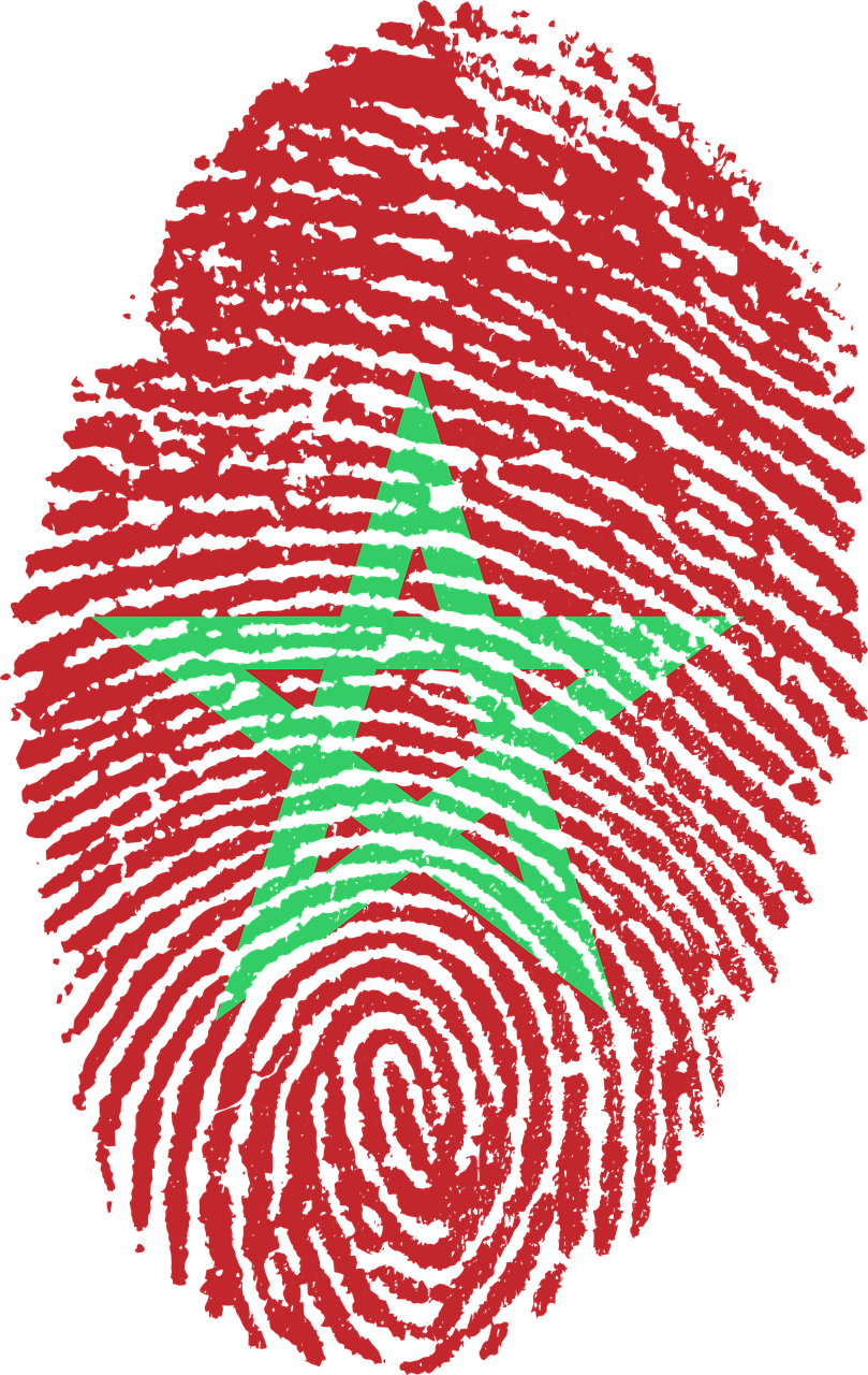 Morocco Flag Transparent Background