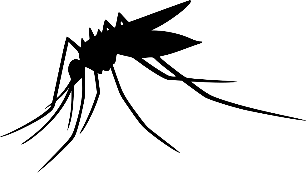 Mosquito Silhouette PNG HD Quality