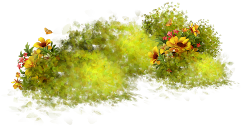 Nature Free PNG